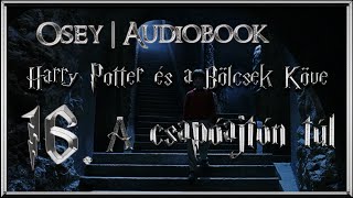 Harry Potter és a Bölcsek Köve hangoskönyv  16 fejezet [upl. by Stila]