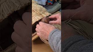 How to Build a Bird Feeder birdfeeder shorts [upl. by Eignat]