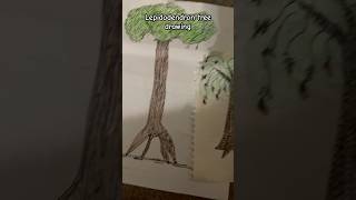 Lepidodendron tree drawingdrawing newtrend [upl. by Cosimo]