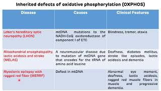 Disorders of Electron Transport Chain And Oxidative Phosphorylation  Mitochondrial Diseases [upl. by Gherardi53]