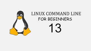 Linux Command Line For Beginners 13  sudo command [upl. by Amiel950]