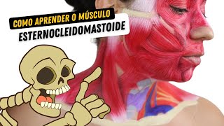 Como APRENDER O Músculo Esternocleidomastóide  Anatomia Humana [upl. by Atoiganap]