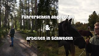 Arbeiten in Schweden  Führerschein abgegeben  Besuch beim Pferd  Leben in Schweden 🇸🇪 [upl. by Ybanrab]