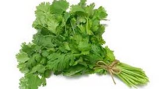 How to stop baldness Quickly And Re Hair growth fast with Coriander leaves [upl. by Isahella]