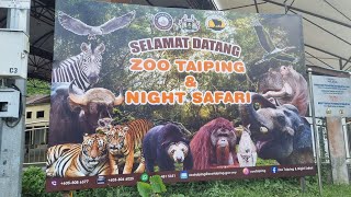 Zoo Taiping 2023第52集 [upl. by Uoliram]