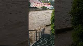 Krems an der Donau 🇦🇹Heavy flood Alarm😱trending shorts shortvideo austria blogging trending [upl. by Marcile78]