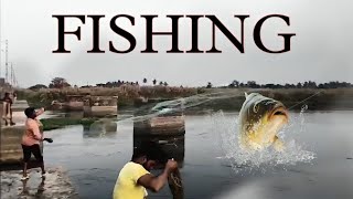 fishing in kolleru Lake 🐠  middle class power [upl. by Saks]