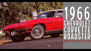 1966 Chevrolet Corvette 427425HP NCRS Top Flight for sale Tampa Florida Survivor Classic Cars 0276 [upl. by Ilona]