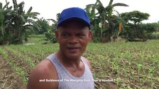 quotI started with 1 kilo of sweet corn seeds Now I am planting at 7 hectares farmquot  Eddie Llubido [upl. by Anayit439]