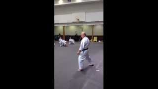 Hanshi Zenpo Shimabukuro  Fukyugata Ichi [upl. by Damal]