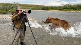 Grizzly Bear Charges Straight Past Me  Alaska 🌎 🇺🇸  Wild Travel  Robert E Fuller [upl. by Feigin620]