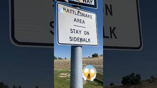 Rattlesnakes at a rest area 😰🐍 rvlife ftrvliving theborderhookups [upl. by Josefa]