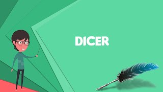 What is Dicer Explain Dicer Define Dicer Meaning of Dicer [upl. by Erlandson]