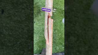 Como consertar cabos de vassouras 🧹 quebrados 👏😱 dicas tools diy shorts [upl. by Nosnar28]