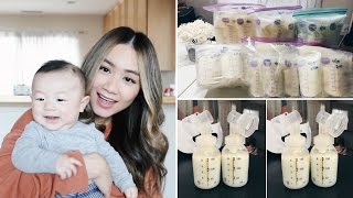 How I Pump 1200 ml of Breastmilk A Day  HAUSOFCOLOR [upl. by Acalia]