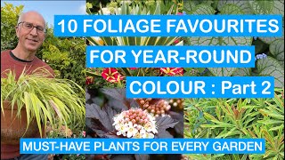 10 FOLIAGE FAVOURITES FOR YEARROUND COLOUR – Part 2 MUSTHAVE PLANTS FOR EVERY PATIO amp GARDEN [upl. by Eelloh]