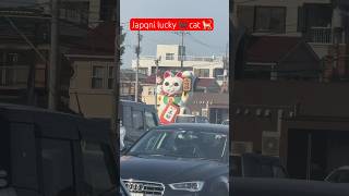 Japani lucky cat 🐈‍⬛ trendingshorts japanslife love [upl. by Zebaj]