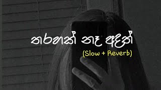 Tharahak Na Adath තරහක් නෑ අදත්  Slow  Reverb [upl. by Lanrev]