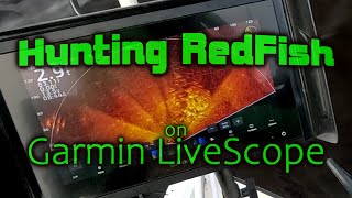 Hunting RedFish Schools on Garmin LiveScope [upl. by Jeffery206]