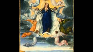 Ave Maria  The Assumption of the Blessed Virgin Mary into Heaven [upl. by Etteragram446]