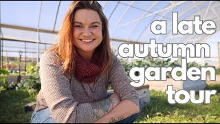 A November Garden Tour Low Expectations in a Warm Fall Garden [upl. by Anderson613]