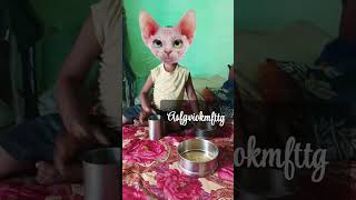 Lalla Lalla Lalla Lori dudh Mein Katori🙏🐈🐈‍⬛🐈‍⬛🍚🍼 short video [upl. by Andromeda564]