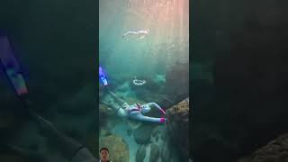 underwater snorkeling mermaid travel youtube youtubeshorts shorts [upl. by Putnam137]