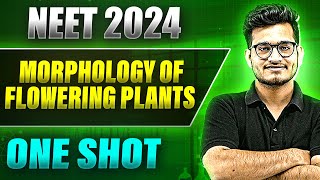 MORPHOLOGY OF FLOWERING PLANT in 1 Shot FULL CHAPTER COVERAGE TheoryPYQs  Prachand NEET [upl. by Etti466]