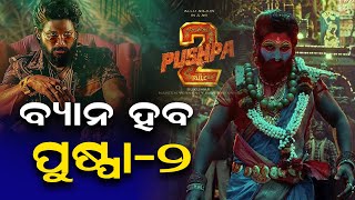 ବ୍ୟାନ୍ ହେବ ଆଲ୍ଲୁ ଅର୍ଜୁନଙ୍କ ଫିଲ୍ମ ପୁଷ୍ପା୨ Pushpa2 Alu Arjun [upl. by Allista]