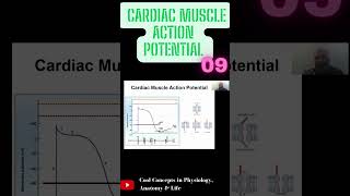 Cardiac Muscle Action Potential  Part9 shorts youtubeshorts youtube ytshorts [upl. by Adrien717]