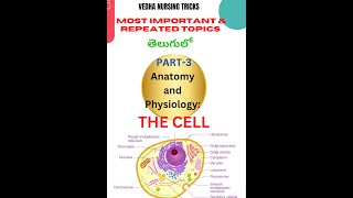 NURSING ONLINE CLASSES3 Anatomy amp PhysiologyCELLCYTOPLASM  MOST IMP TOPIC in English amp Telugu [upl. by Lennej971]