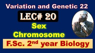 Biology chapter 22 Lecture No20 Sex chromosomes FSc 2nd Year [upl. by Allicsirp957]