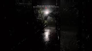 Pal pal dil ke pas  Night Rain  Moonlight Rain  Aesthetic  Peaceful Night  WhatsApp Status [upl. by Ahsiekal731]