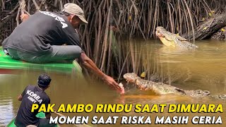 BUAYA RISKA SAAT DI ALAMSELALU DATANGIN AMBOMAKAN DENGAN LAHAP [upl. by Marlena]