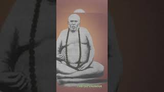 Trailanga Swami The Hindu yogi who lived 280 years  shorts [upl. by Severn589]