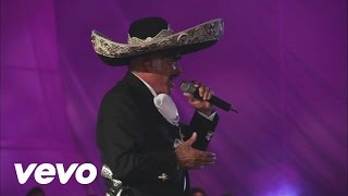 Vicente Fernández  El Rey En Vivo [upl. by Lennor726]