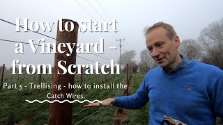 Starting a vineyard from Scratch  Part 5 Trellising installing the catch wires [upl. by Deborath]