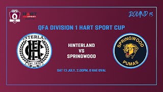 Hinterland vs Springwood Mens Div 1 AFL Rd 13 13th July [upl. by Pomeroy]