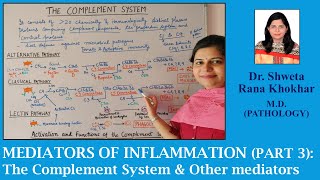 Mediators of Inflammation Part 3 The Complement System and other mediators [upl. by Eisoj]