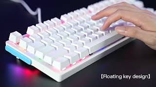 Rapoo Backlit Mechanical Gaming Keyboard（V500pro87） [upl. by Mallen]