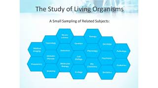 Life Sciences Project Management 101 [upl. by Aimil]