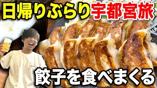 午後から半日で宇都宮旅行！歴史めぐりamp食べ歩きの旅！ [upl. by Nina520]