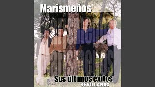 Venimos de las Marismas [upl. by Amikehs]