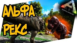 ARK Survival Evolved  ПОХОД ЗА АЛЬФА РЕКСОМ СТРИМ [upl. by Ailimac972]