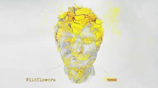 Ed Sheeran  Wildflowers Official Visualiser [upl. by Lark]