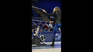 DOGS JUMPING ROPE Halftime Show vs Niagara  Penn State Womens Basketball [upl. by Close]