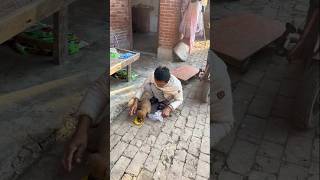 A poor man feeding a dog shortvideo viralvideo youtubeshorts [upl. by Brooking]