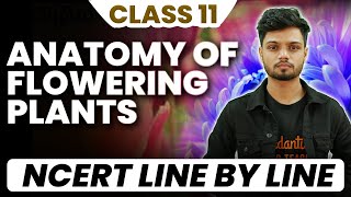 Anatomy of Flowering Plants  Class 11 Biology  NCERT Line by Line [upl. by Fabriane]