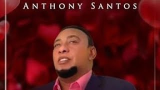 Antología de Caricias  Anthony Santos Audio Bachata [upl. by Belicia177]