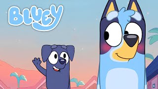 The Last New Bluey Episodes Of 2024 Recap [upl. by Mohkos]